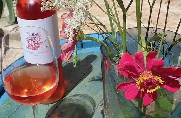 Hvar Wine tasting small group experience