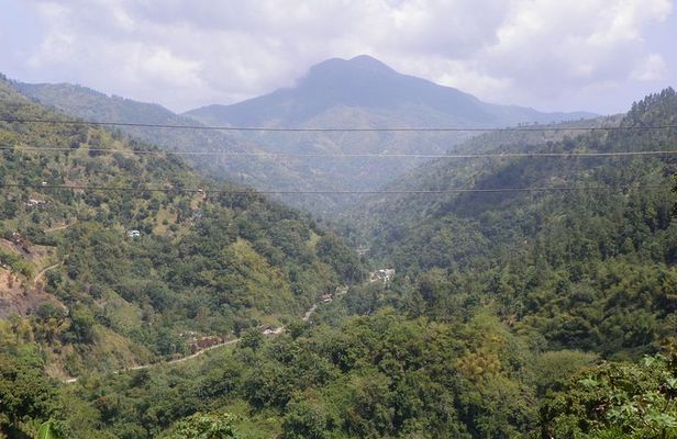 Blue Mountain Tour with Hotel Transportation