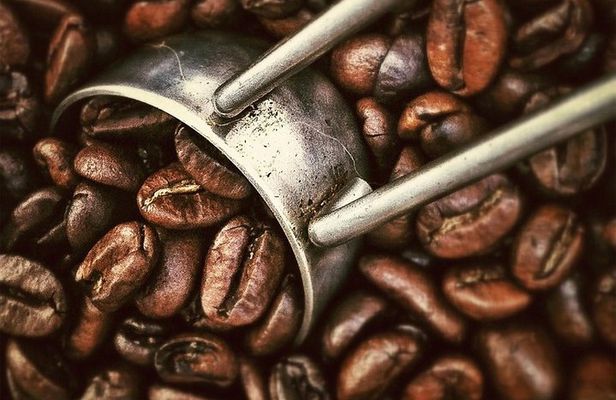 Coffee Tour