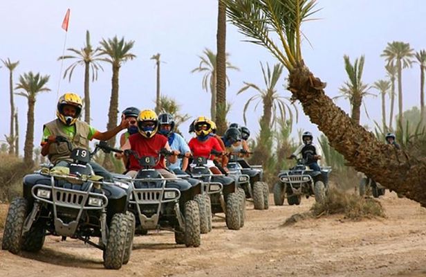 Quad bike and camel ride in the palm grove