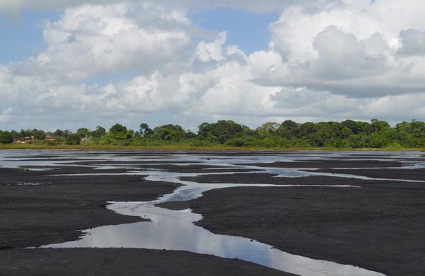 Trinidad Island Sightseeing Tour: Pitch Lake and Chaguanas