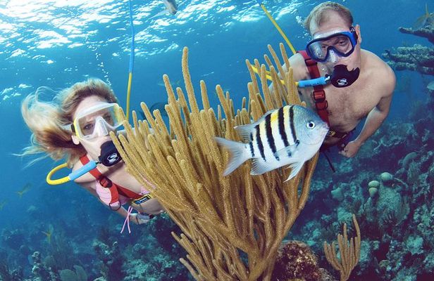 SNUBA at Catalina Island
