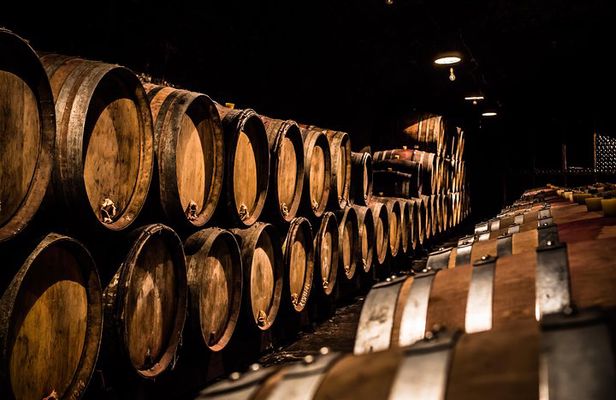 Small-Group Full-Day Tour of Côte de Nuits, Côte de Beaune Vineyards and Beaune Historical District