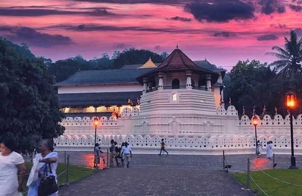 Kandy City Tour and day trip private luxury car and van