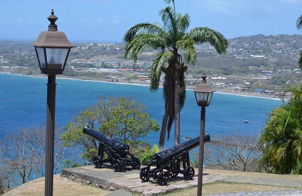 Highlights of Tobago Tour