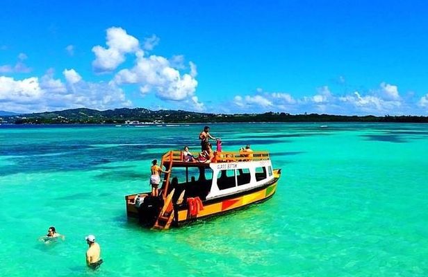 Tobago Buccoo Reef Glass Bottom Boat Cruise and Island Sightseeing Tour