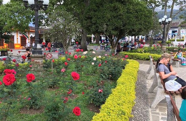 Coffee Plantation in Jardin and City sightseeing Tour