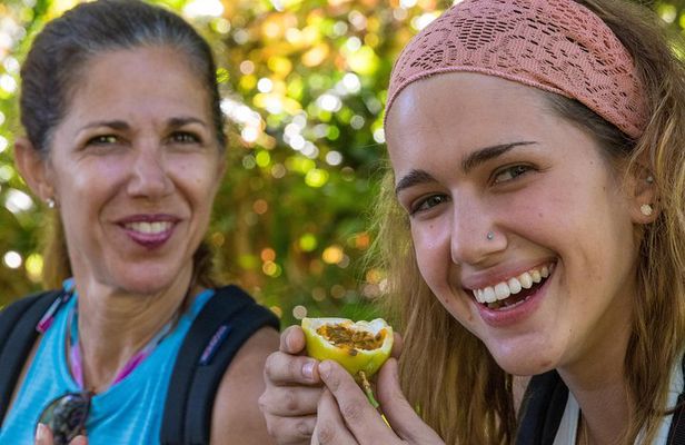 Small Group Waterfall and Rainforest Hiking Adventure on Maui