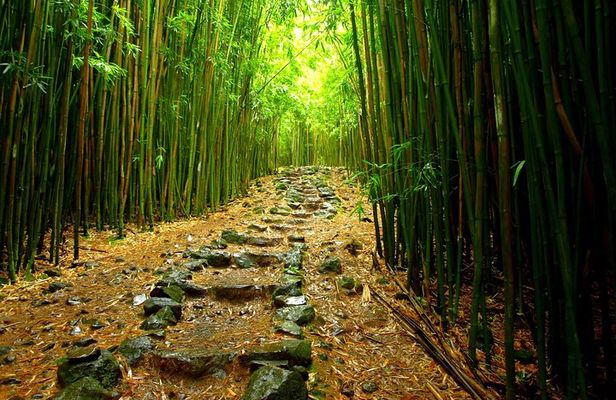 Ultimate Hana Full-Day Adventure Tour