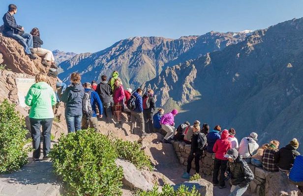 Colca Full Day