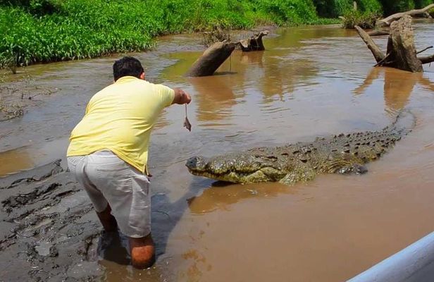 Crocodiles Safari & Zipline adventure - Private Sightseeing Tours