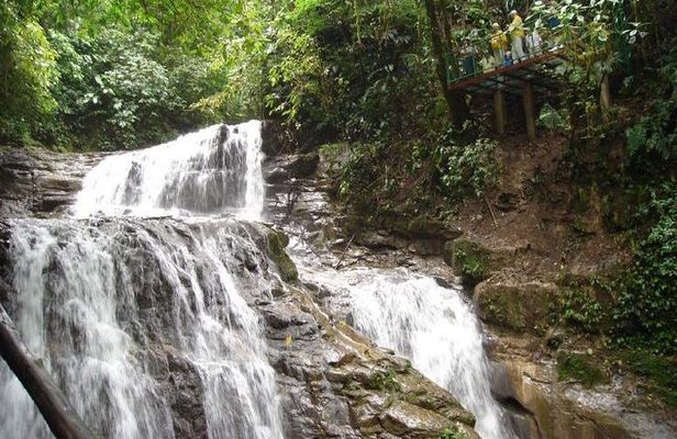 Veragua Rainforest Eco-Adventure + Aerial Tram + Tortuguero Canal
