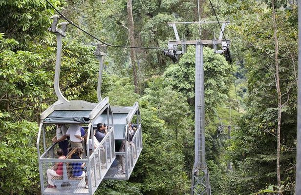 Veragua Rainforest Eco-Adventure & Aerial Tram Experience