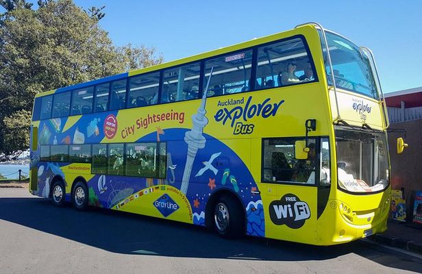 Auckland Explorer: Hop-on Hop-off Tour