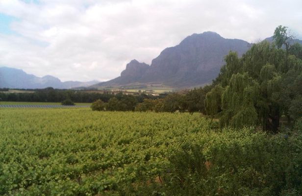Private Cape Winelands Tour from Cape Town