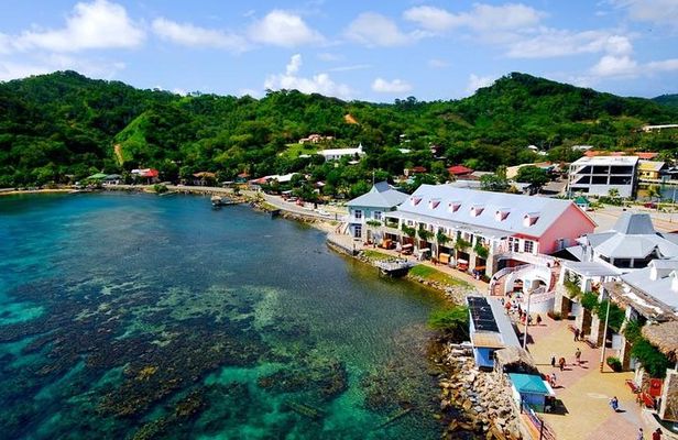 Roatan Jungle Top Wildlife Guided Eco-Park Tour