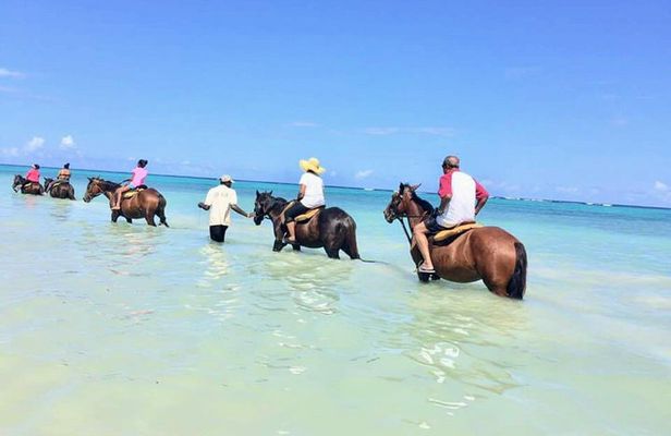 Secret Falls, Blue Hole, and Horseback Riding from Ocho Rios