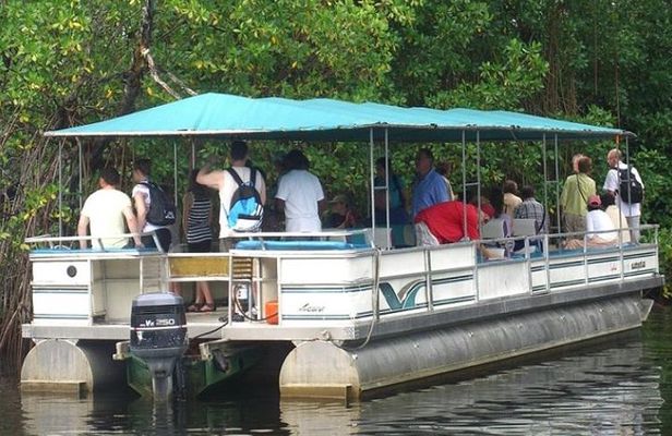 Private Black River Safari Tour from Montego Bay