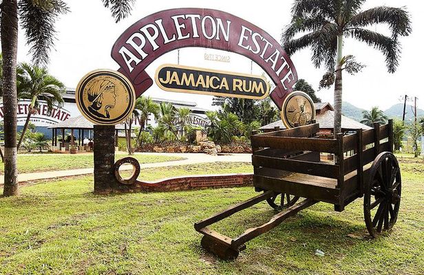 Appleton Estate Rum Tour and Tasting from Ocho Rios