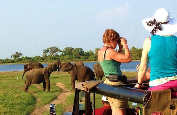 VALUE PACK! One Day Safari Tour to Yala and Udawalawa Parks