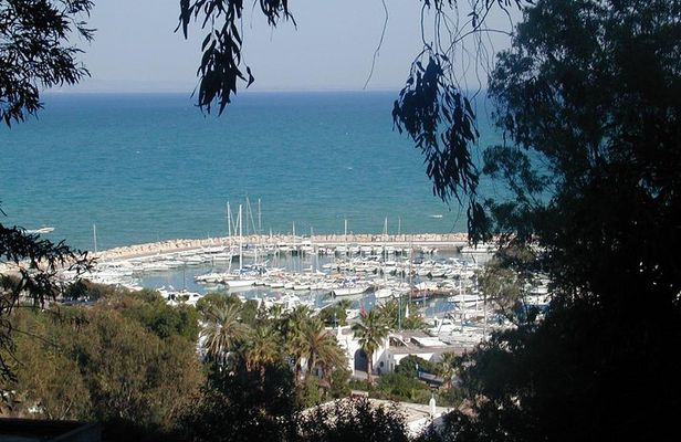 day full carthage _sidi bou said _museum of Bardo and the medina of Tunis