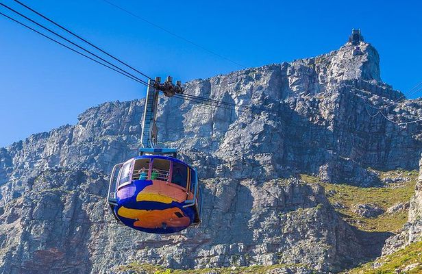Cape Town Private Tour: Table Mountain Car & Cape Point Penguins