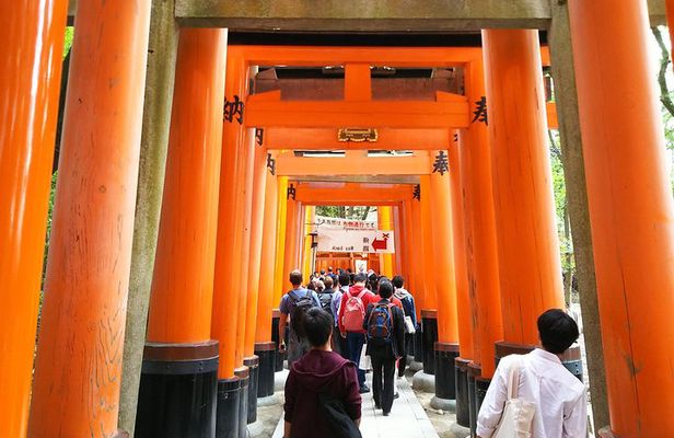 Kyoto Early Riser Golden One-Day Walking Tour