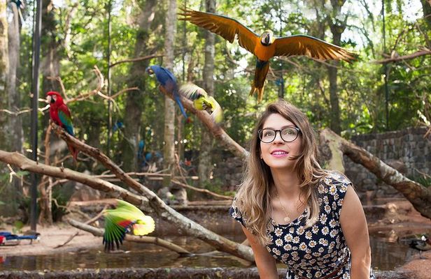 Bird Park & Iguassu Brazilian Side From Puerto Iguazú Hotels - Private Tour