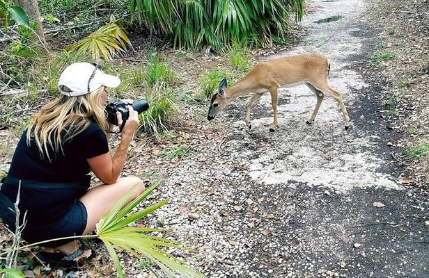 Full-Day Tour of Florida Keys Including Aquarium Encounters from Key West
