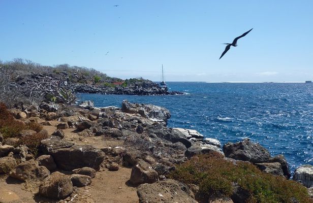 North Seymour Day Trip Galapagos