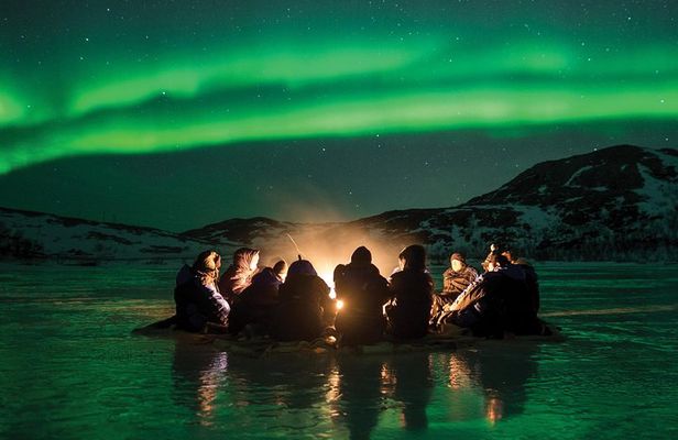 Northern Lights Minibus Chase from Tromso