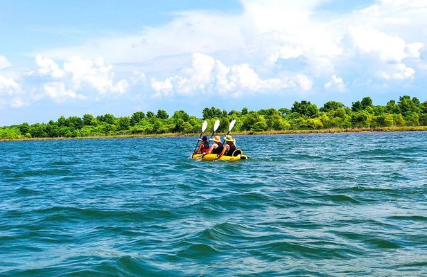 Albania Birdwatching, Kayaking, Bicycle National Park Divjaka Karavasta(ARG)
