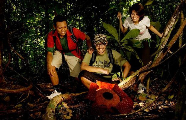Amazing Taman Negara Day Trip from Kuala Lumpur Including Lunch