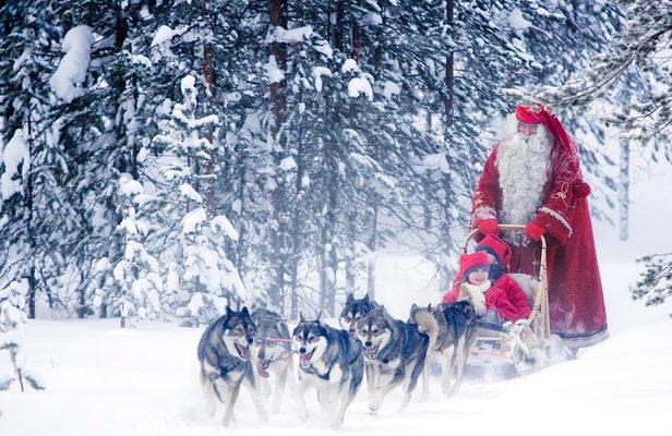 Rovaniemi Santa Claus Village Husky Reindeer Farm Arctic Museum