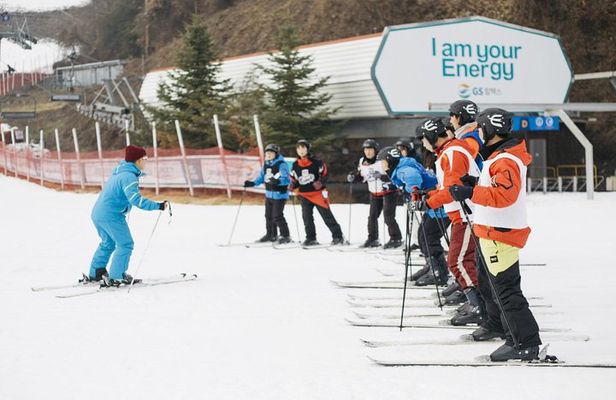 Private 1:1 Ski Lesson near Seoul, South Korea