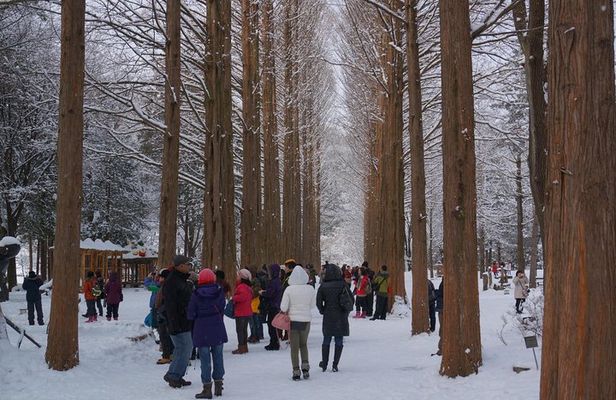 Private Tour Nami Island with Petite France 'and/or' The Garden of Morning Calm