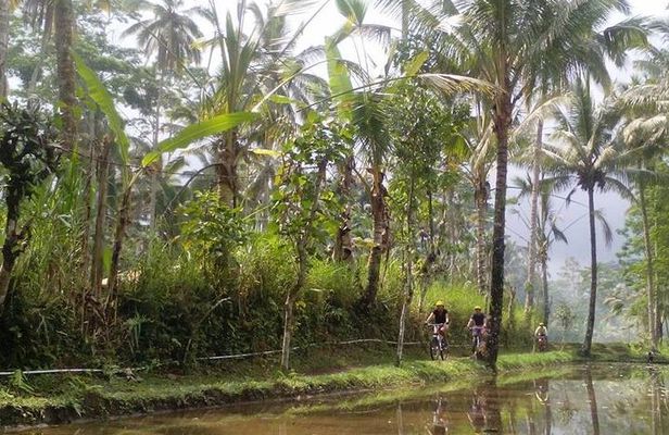 Mount Batur to Ubud – Light Off Road Cycling Adventure