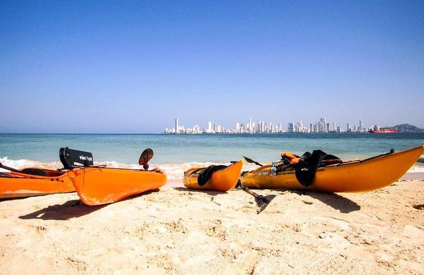 Punta Arena Excursion Kayak