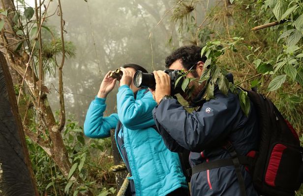 Day Trip to Chicaque National Park—from Bogota