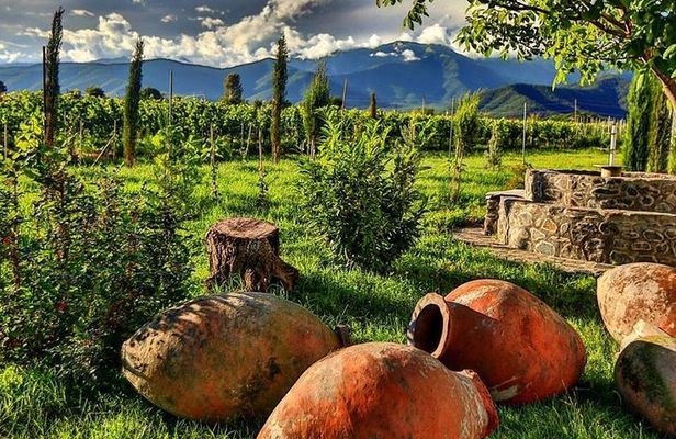 Kakheti-Wine Region Full-Day Superior Private Guided Tour & Organic Wine Tasting