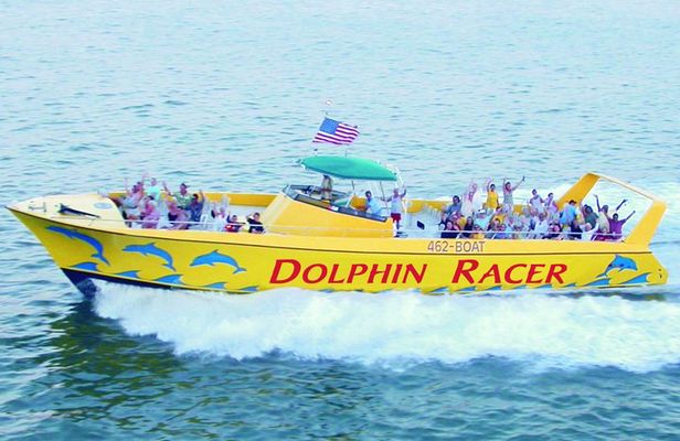 St. Pete Beach Dolphin Racer Adventure