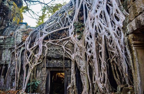 Angkor Wat 1Day Tour With Sunrise