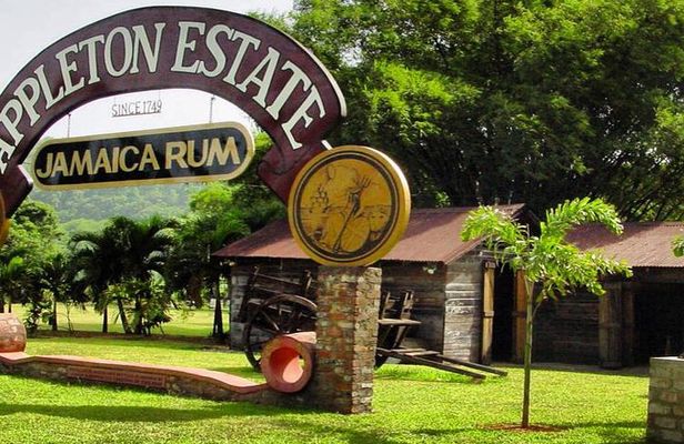 Private Appleton Estate Rum Tour & Tasting from Runaway Bay