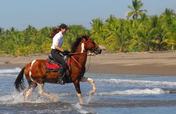 Personalized Beach Adventure Near Jaco