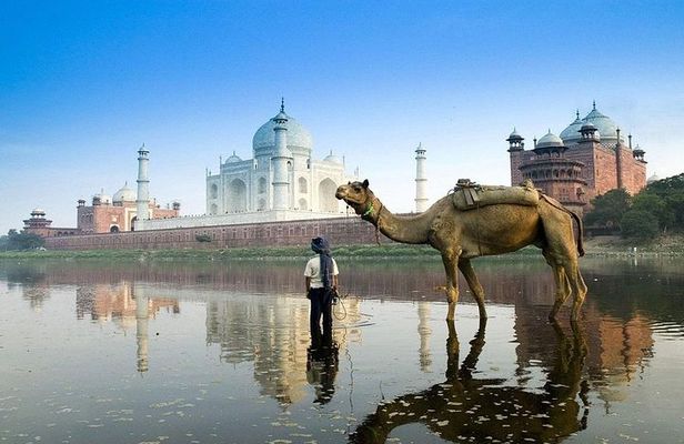 Private Taj Mahal Sunrise Tour from delhi by car All inclusive
