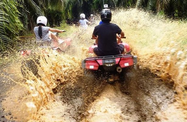 ATV & Canopy Tour From Flamingo Beach