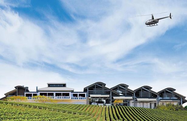 Helicopter Tour - Sirromet Winery & Scenic Flight