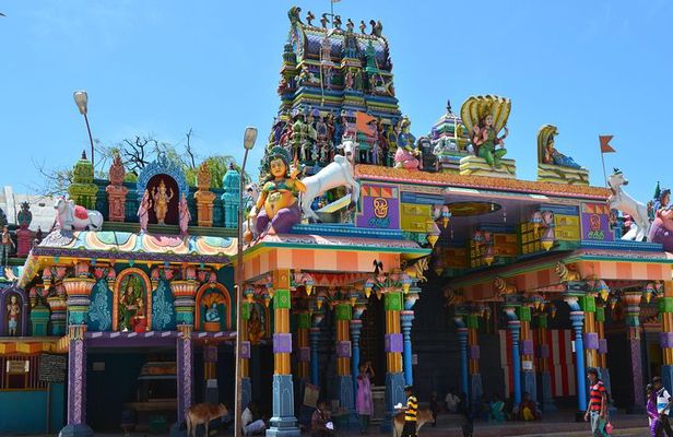 Delft & Nagadeepa Islands: Private Full-Day Escape from Jaffna