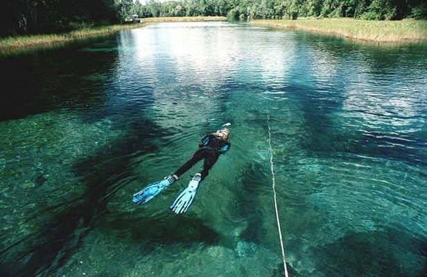 Snorkel Or Dive The Amazing Rainbow River Florida
