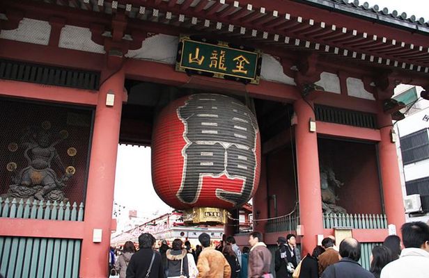 Private Tokyo Custom Half-Day Tour by Chartered Vehicle